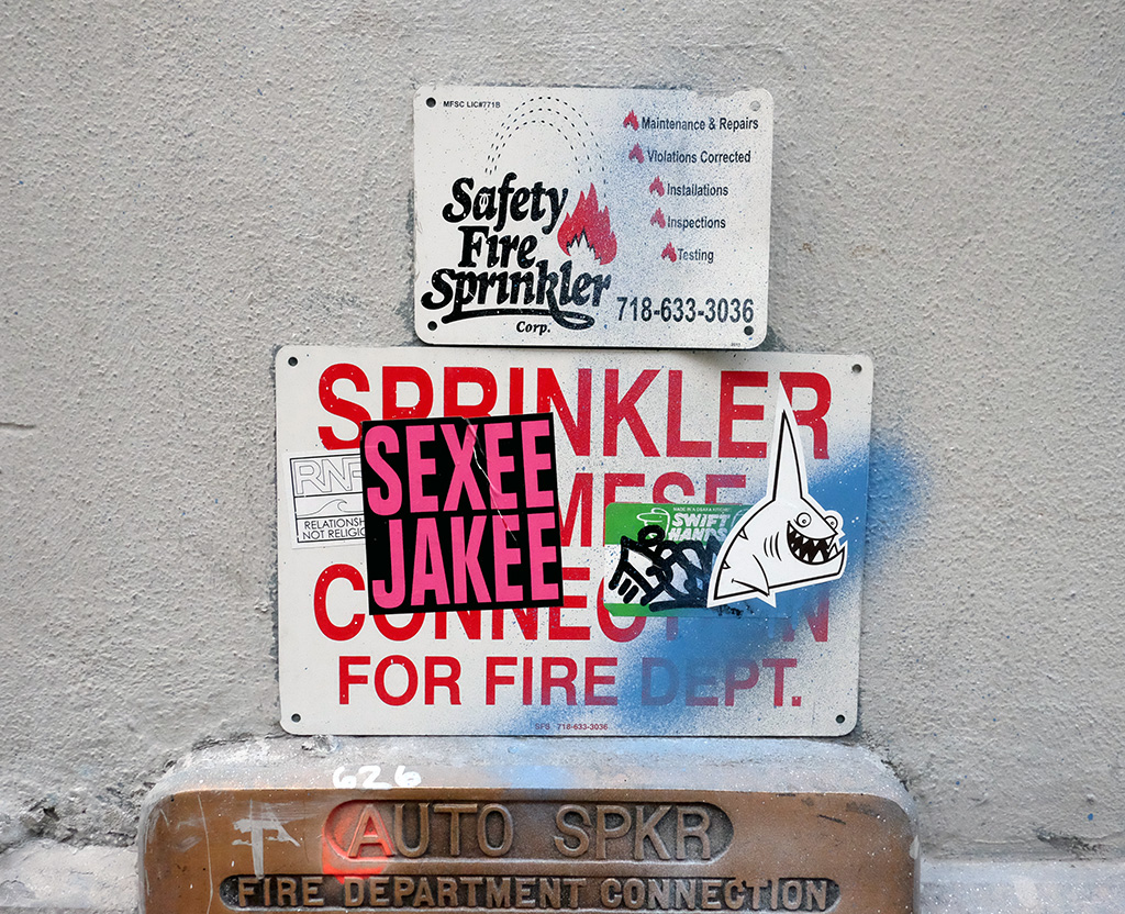DSCF4777